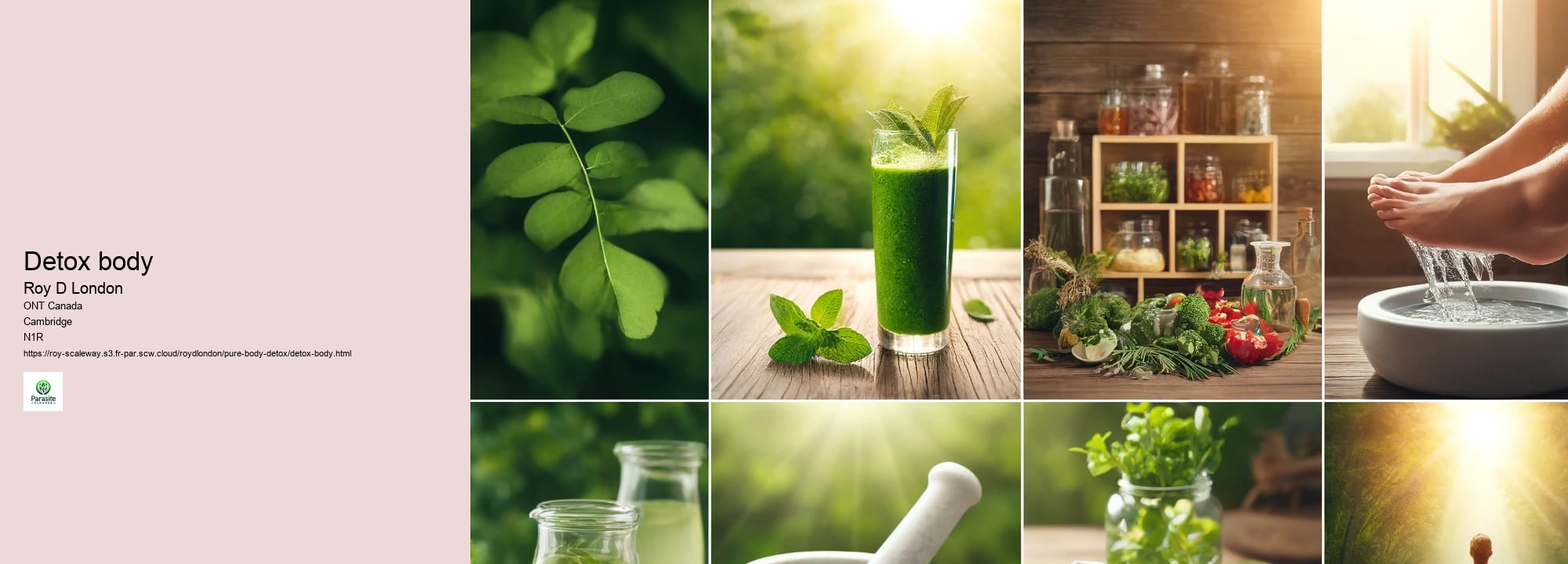 detox body